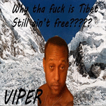 Album of The Day Cover